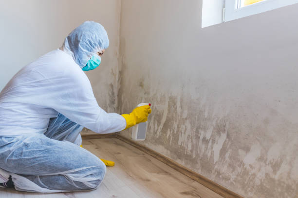 Licensed Mold Removal service in Rowlett, TX - WQB Mold Removal