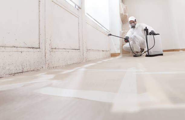 24/7 Emergency Mold Removal experts in Rowlett, TX