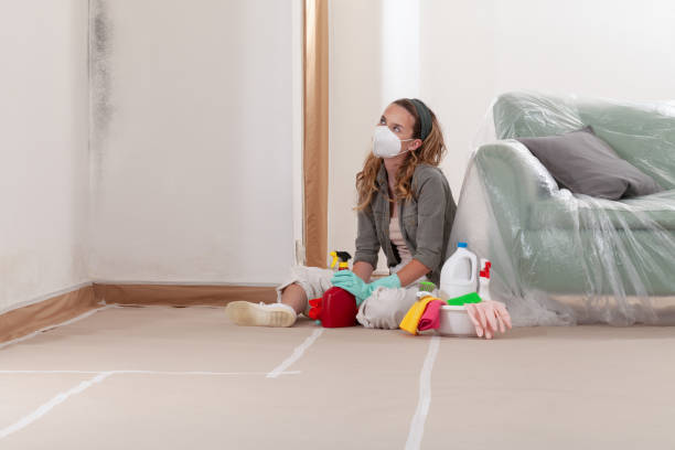 Reliable Mold Removal contractor in Rowlett, TX by WQB Mold Removal